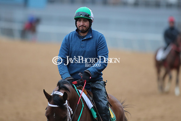z250104_SmartyJonesStakesDay _JWM_0007