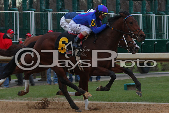 Oaklawn Smarty Jones Stakes 1-18-2016 (©Justin Manning) JWM_(0464