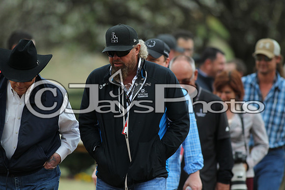 Southwest Stakes (GradeIII) 2-20-17_JWM00093