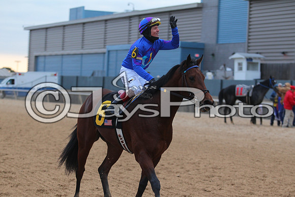 Oaklawn Smarty Jones Stakes 1-18-2016 (©Justin Manning) JWM_(0508
