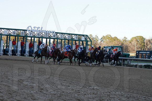Oaklawn 1-21-13 (Smarty Jones Stakes) (Justin Manning)0207