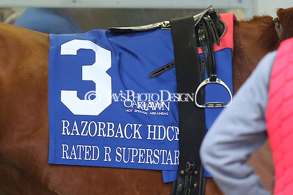 z230218_RazorbackHandicapDay_Manning_JWM_0422