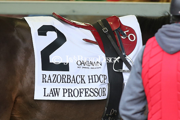 z230218_RazorbackHandicapDay_Manning_JWM_0429