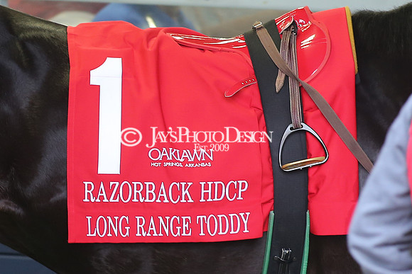 z230218_RazorbackHandicapDay_Manning_JWM_0431