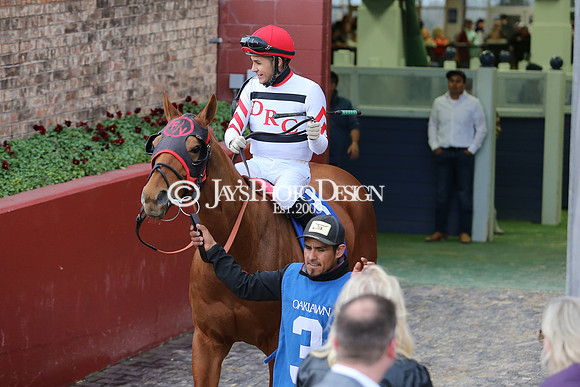 z230218_RazorbackHandicapDay_Manning_JWM_0496