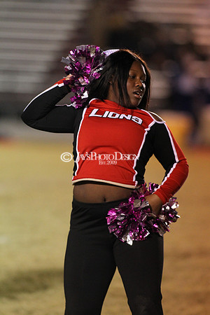 Valley View @ LR McClellan 11-9-18_JWM_0478
