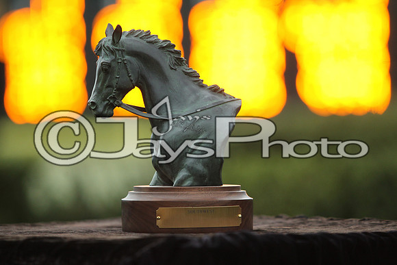 Southwest Stakes (GradeIII) 2-20-17_JWM00601