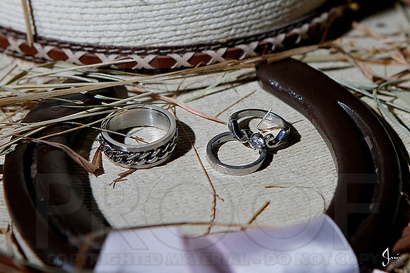 Bridget & Brandon's wedding 3-23-13 (© Justin Manning) JWM0676