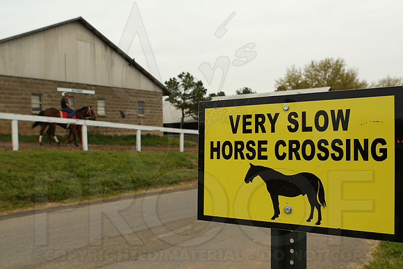 Arkansas Derby 4-11-2014 (© Justin Manning) JWM_0109