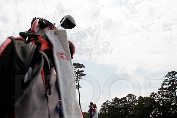 Cortez Golf Course (Hot Springs Village) 8-14-12 015(Justin Manning)