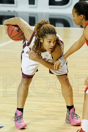 Western Kentucky vs. UALR Women's 3-10-13 JWM0149 (©Justin Manning)