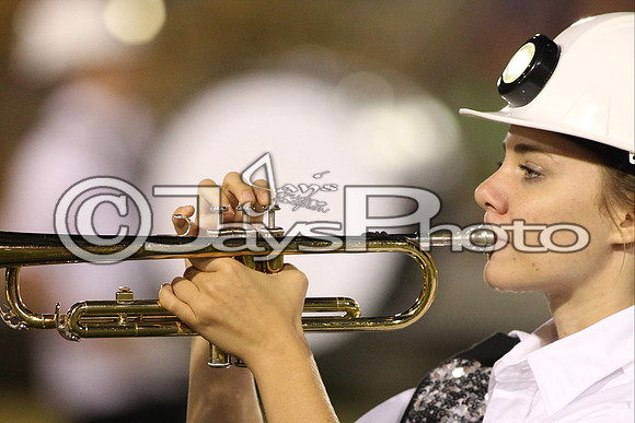 Glen Rose @ Bauxite 9-11-2015 (©Justin Manning) JWM_0497