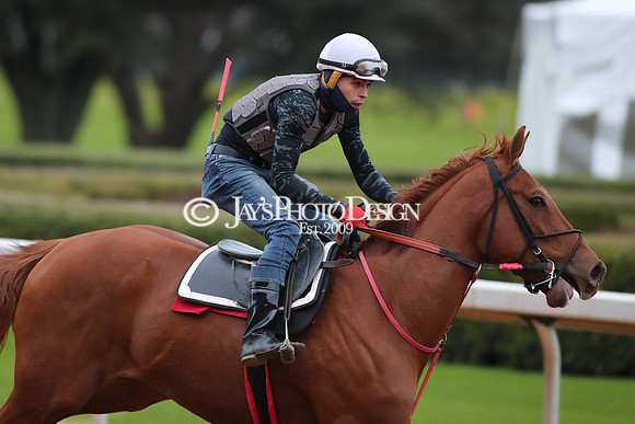z250104_SmartyJonesStakesDay _JWM_0055