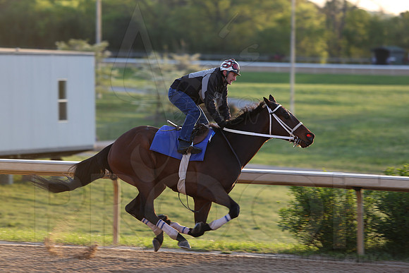 Arkansas Derby 2013 (© Justin Manning) JWM0006