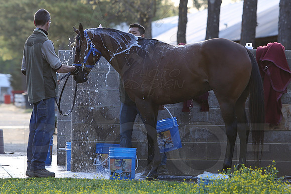 Arkansas Derby 2013 (© Justin Manning) JWM0029