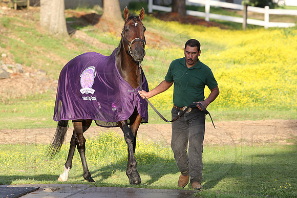 Arkansas Derby 2013 (© Justin Manning) JWM0043