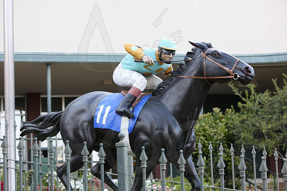 Arkansas Derby 2013 (© Justin Manning) JWM0053