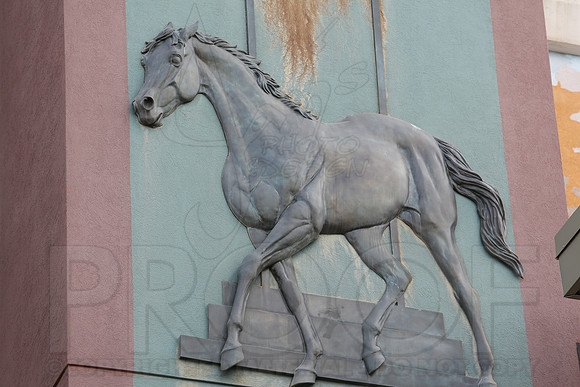 Arkansas Derby 2013 (© Justin Manning) JWM0061