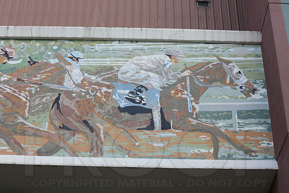 Arkansas Derby 2013 (© Justin Manning) JWM0063