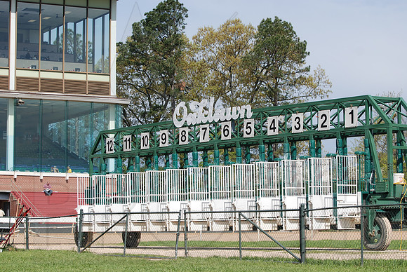Arkansas Derby 2013 (© Justin Manning) JWM0196