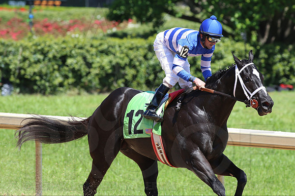 Arkansas Derby 2013 (© Justin Manning) JWM0241