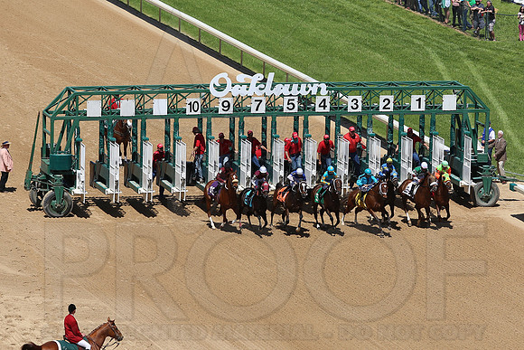 Arkansas Derby 2013 (© Justin Manning) JWM0265