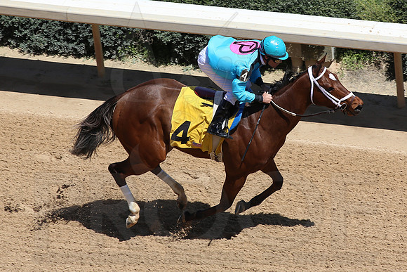 Arkansas Derby 2013 (© Justin Manning) JWM0286