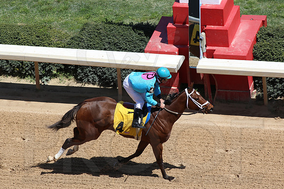 Arkansas Derby 2013 (© Justin Manning) JWM0288