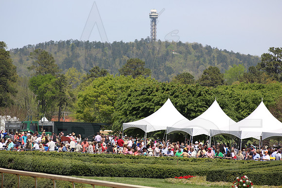 Arkansas Derby 2013 (© Justin Manning) JWM0220