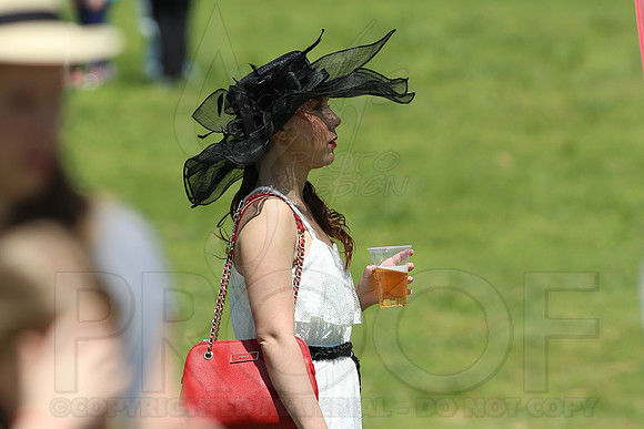 Arkansas Derby 2013 (© Justin Manning) JWM0245