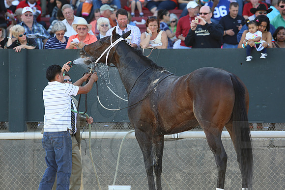 Arkansas Derby 2013 (© Justin Manning) JWM0586