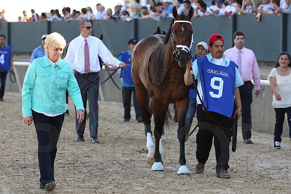 Arkansas Derby 2013 (© Justin Manning) JWM0605