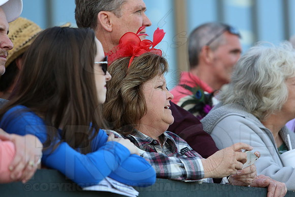 Arkansas Derby 2013 (© Justin Manning) JWM0721