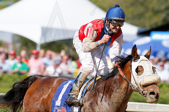 Arkansas Derby 2013 (© Justin Manning) JWM0868