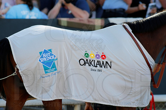 Arkansas Derby 2013 (© Justin Manning) JWM0883