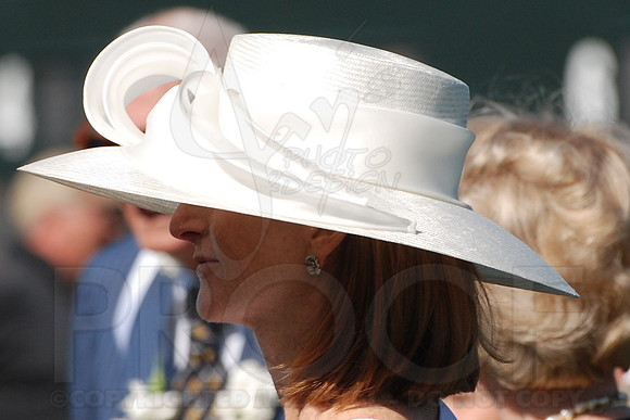 Arkansas Derby 2013 (© Justin Manning) JWM1061