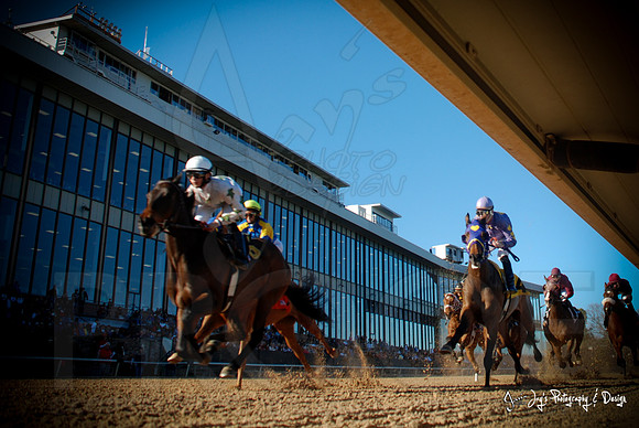 Oaklawn-8