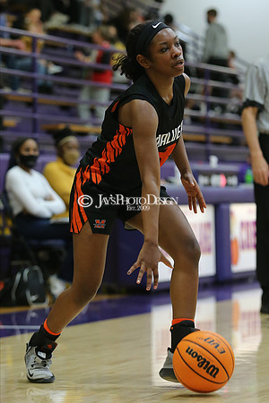 Malvern @ Fountain Lake 1-26-21_JWM_0407