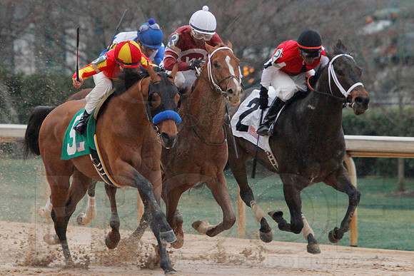 Rebel Stakes 3-15-14 3-15-2014 (© Justin Manning) JWM_0232