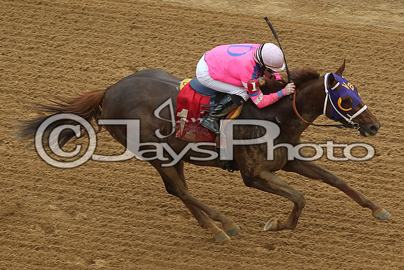 Southwest Stakes (GradeIII) 2-20-17_JWM00079