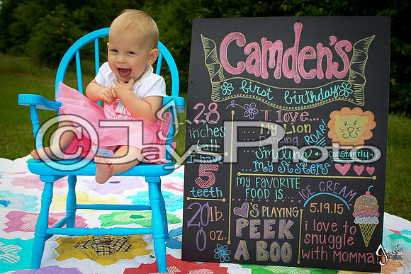 Camden's 1st Birthday pictures_0329