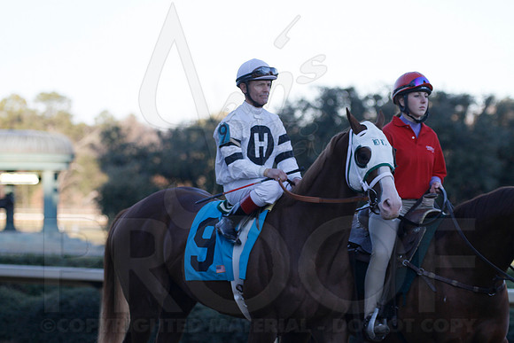Oaklawn 1-21-13 (Smarty Jones Stakes) (Justin Manning)0183