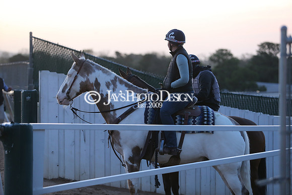 z230401_ArkansasDerbyDay_Manning_0042