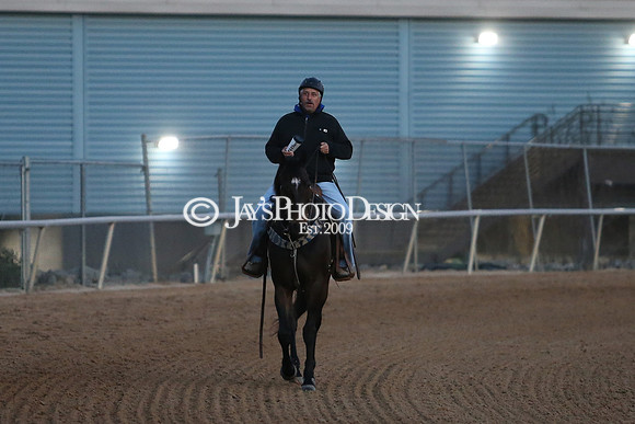 z230401_ArkansasDerbyDay_Manning_0055
