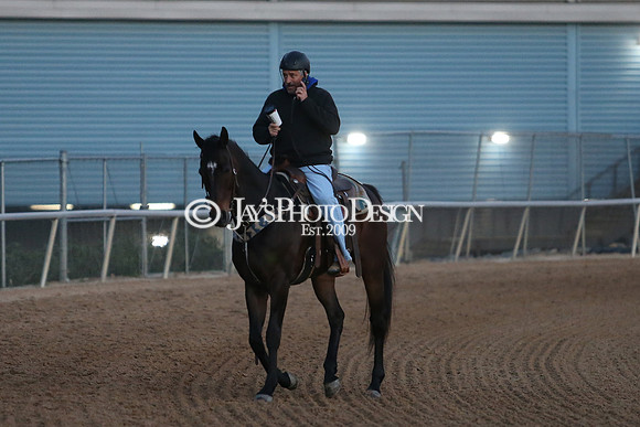 z230401_ArkansasDerbyDay_Manning_0062