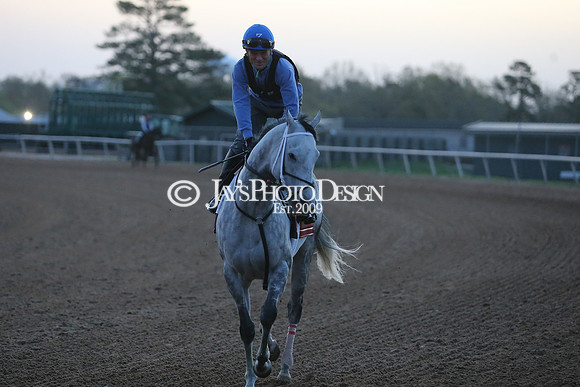 z230401_ArkansasDerbyDay_Manning_0053