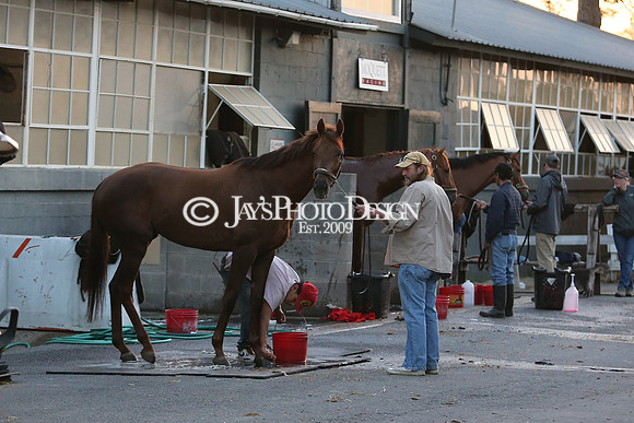 z230401_ArkansasDerbyDay_Manning_0099