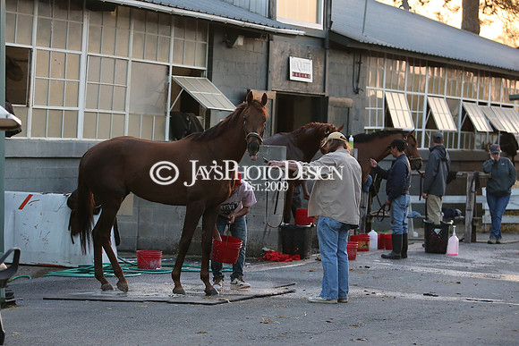 z230401_ArkansasDerbyDay_Manning_0094