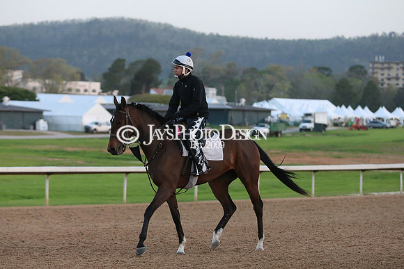 z230401_ArkansasDerbyDay_Manning_0082