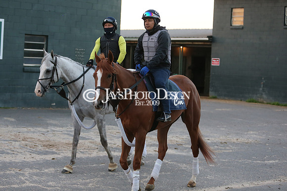 z230401_ArkansasDerbyDay_Manning_0093